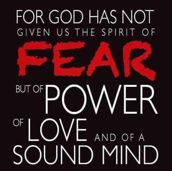 Meet your Posher, John - Picture 3 of 4